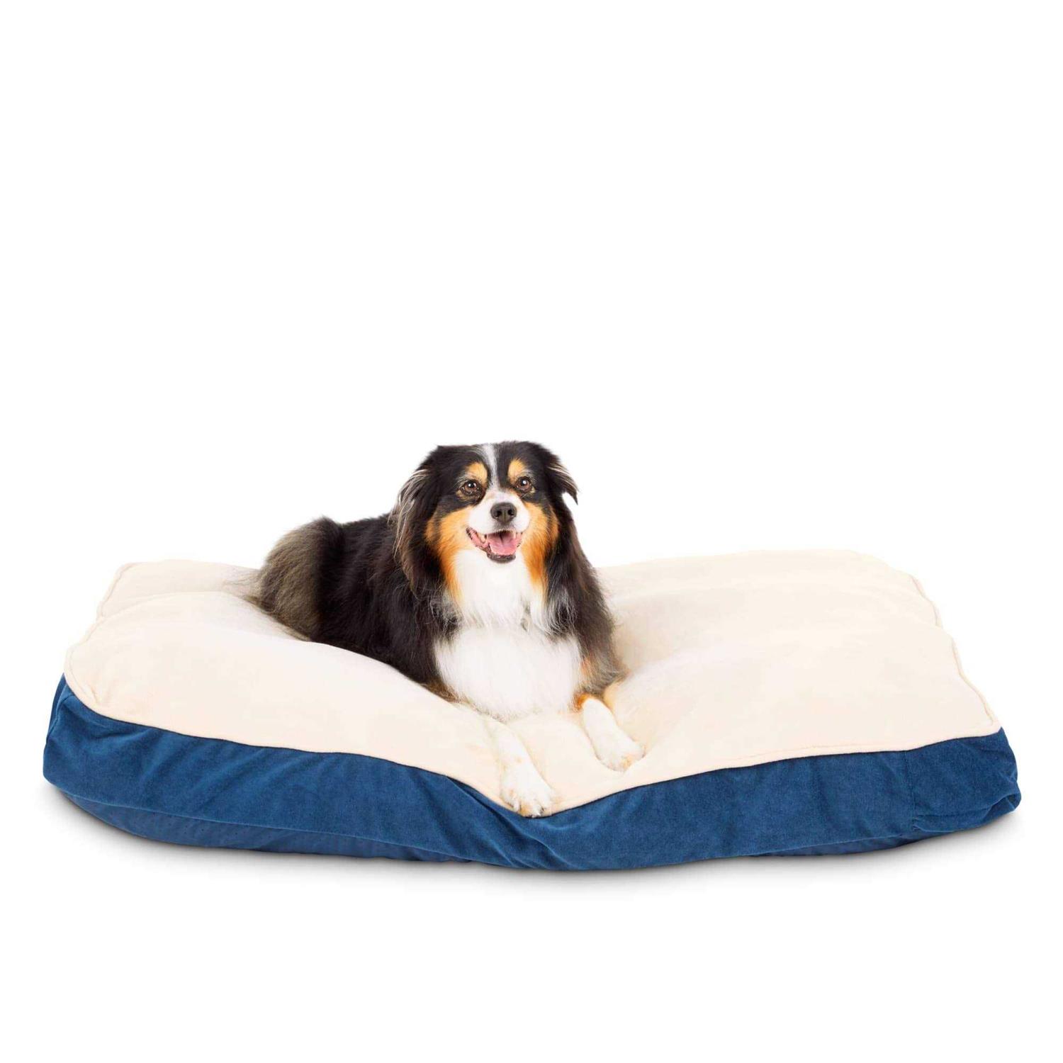 EveryYay Essentials Snooze Fest Lounger Dog Bed - Pet Supplies online store