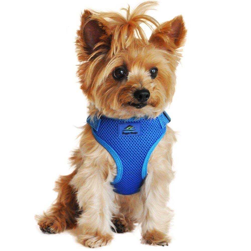 Doggie Design Wrap and Snap Choke Free Dog Harness - Pet Supplies online store