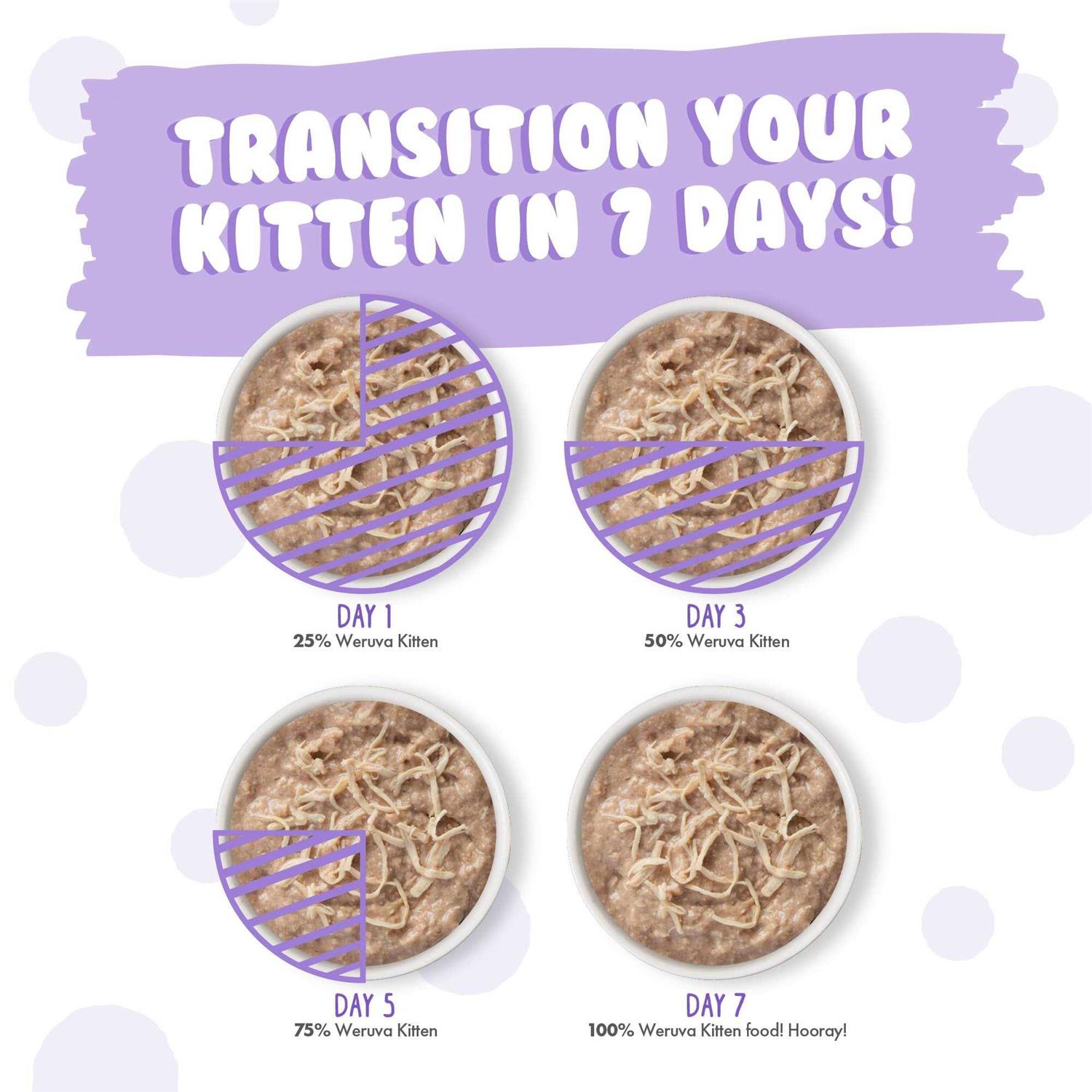 Weruva Kitten Can Jam Variety Pack Wet Cat Food - Pet Supplies online store