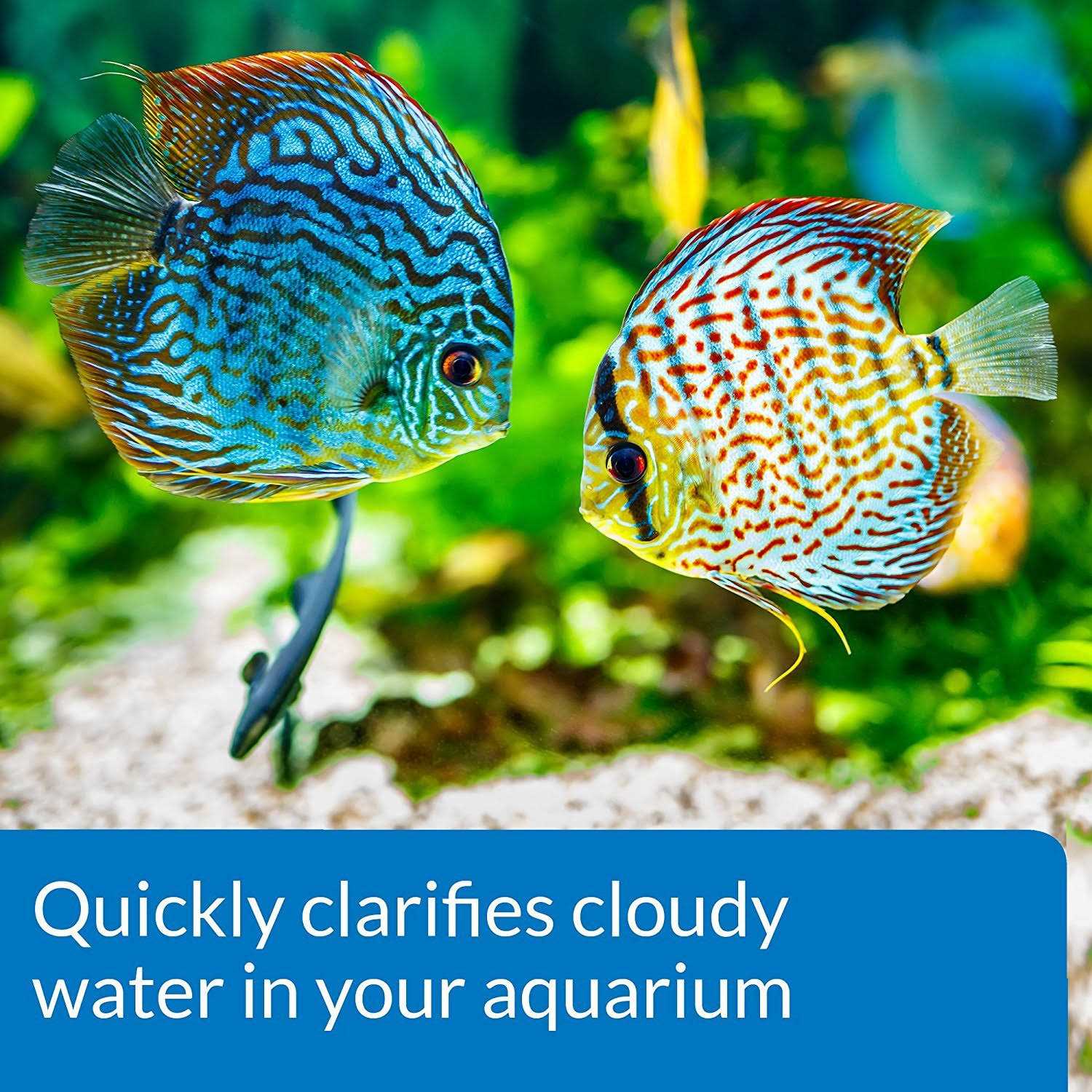 API Aquarium Accu-Clear - Pet Supplies online store