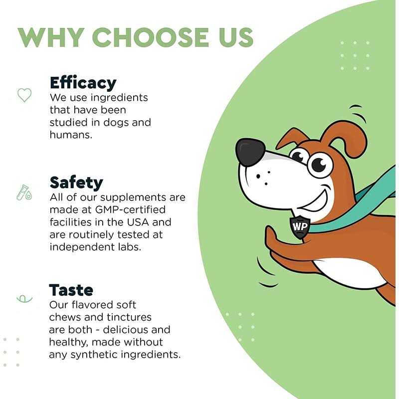 Wonder Paws Milk Thistle Liver Support for Dogs Supports Kidney Function for Pets - Pet Supplies online store