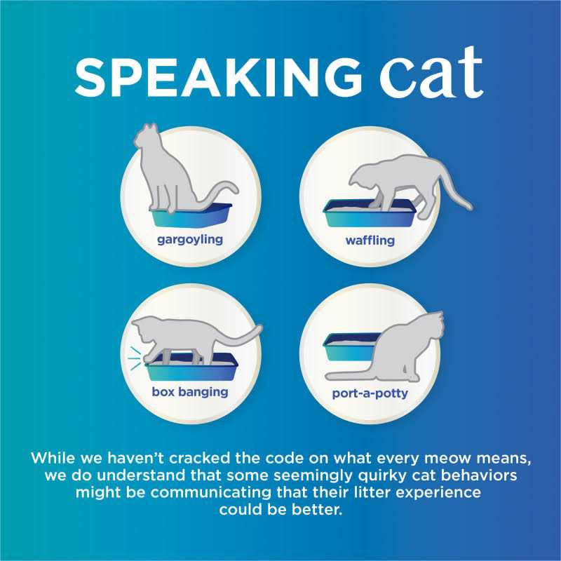 Purina Tidy Cats Tidy Care Comfort Unscented Odor Control Clumping Cat Litter - Pet Supplies online store