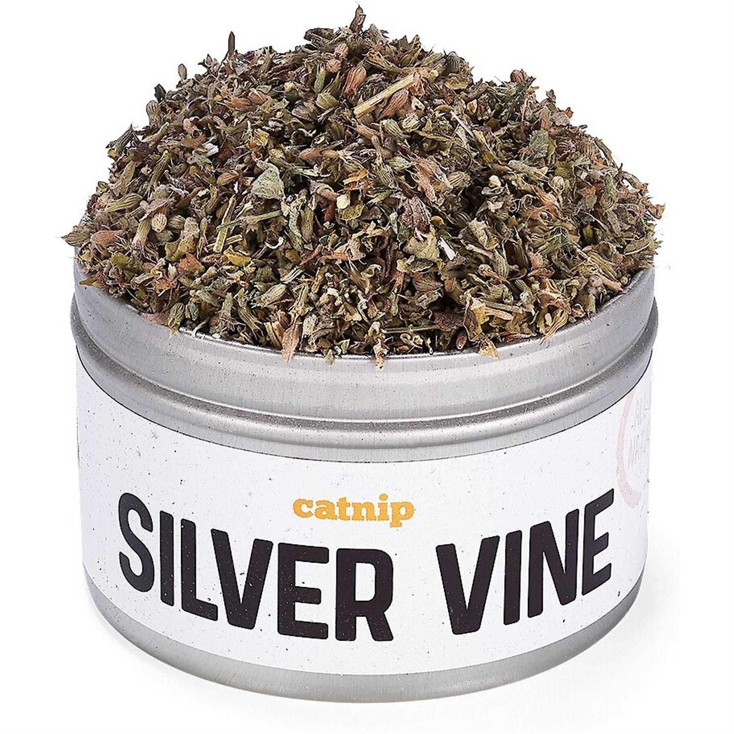Litterbox.com™ Silver Vine Catnip in Bisque - Pet Supplies online store