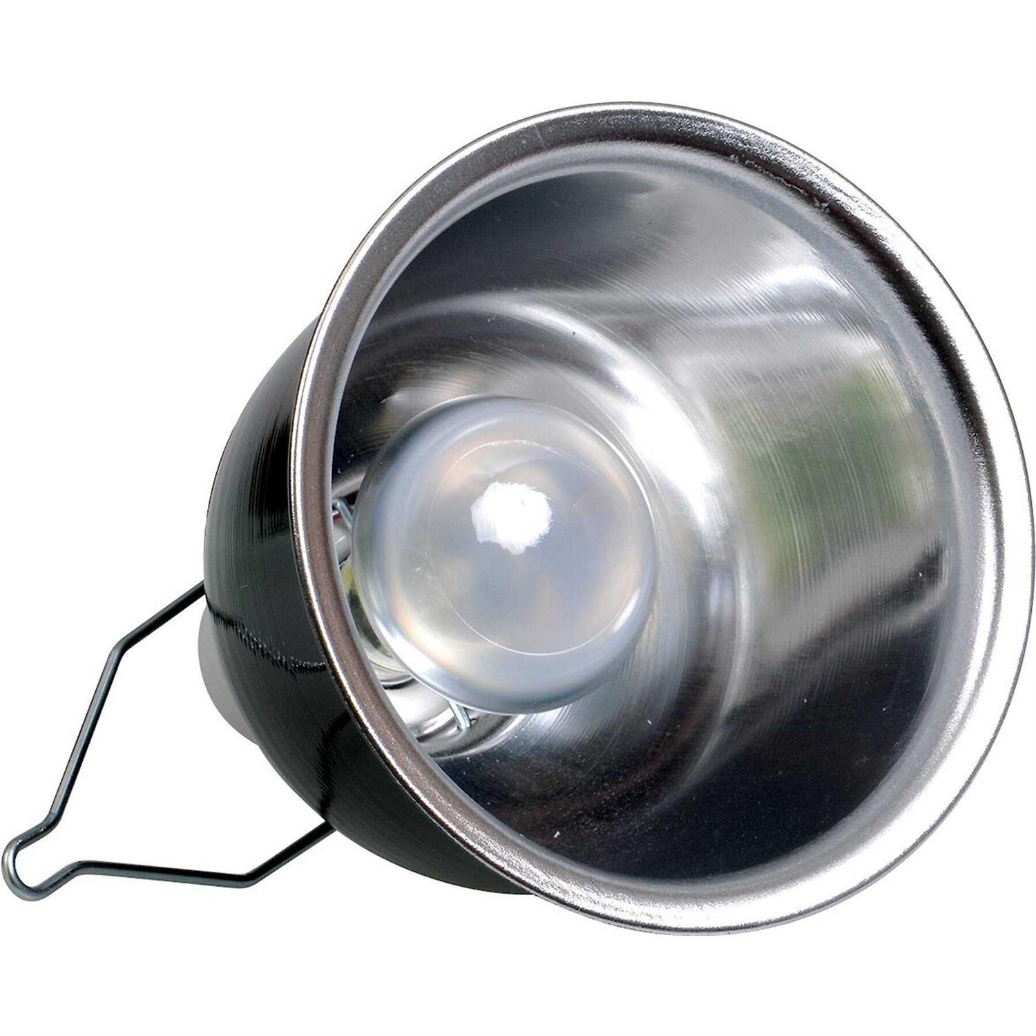 Zoo Med Desert Lighting Combo Pack - Pet Supplies online store