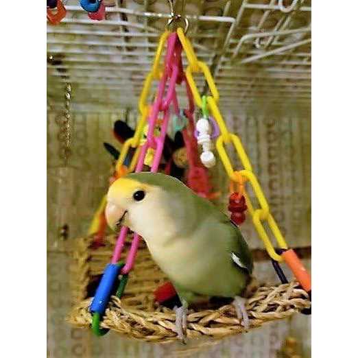 Super Bird Creations SB747 Mini Flying Trapeze Bird Toy - Pet Supplies online store