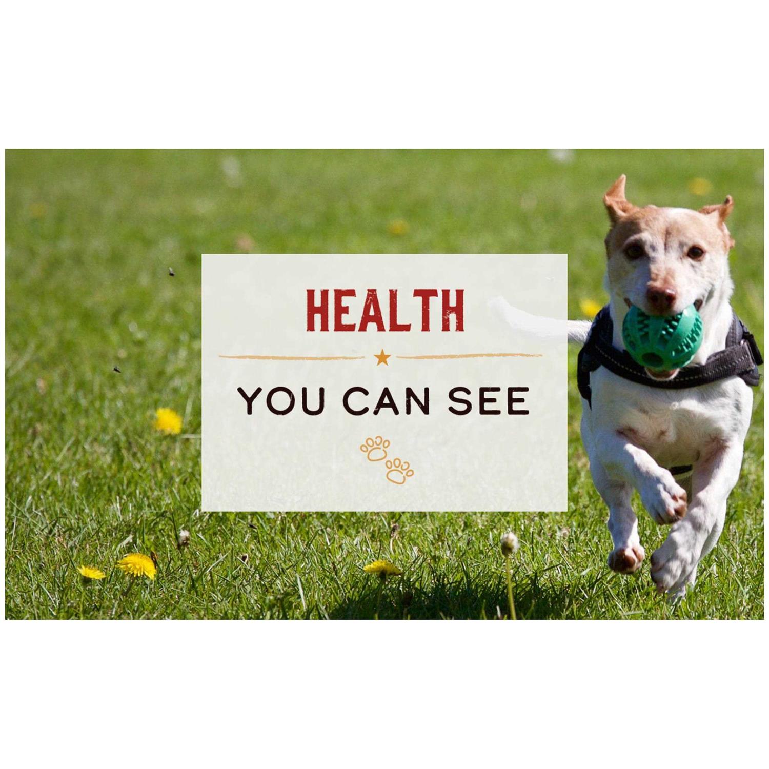 Merrick Limited Ingredient Diet Chicken & Brown Rice Wet Dog Food - Pet Supplies online store