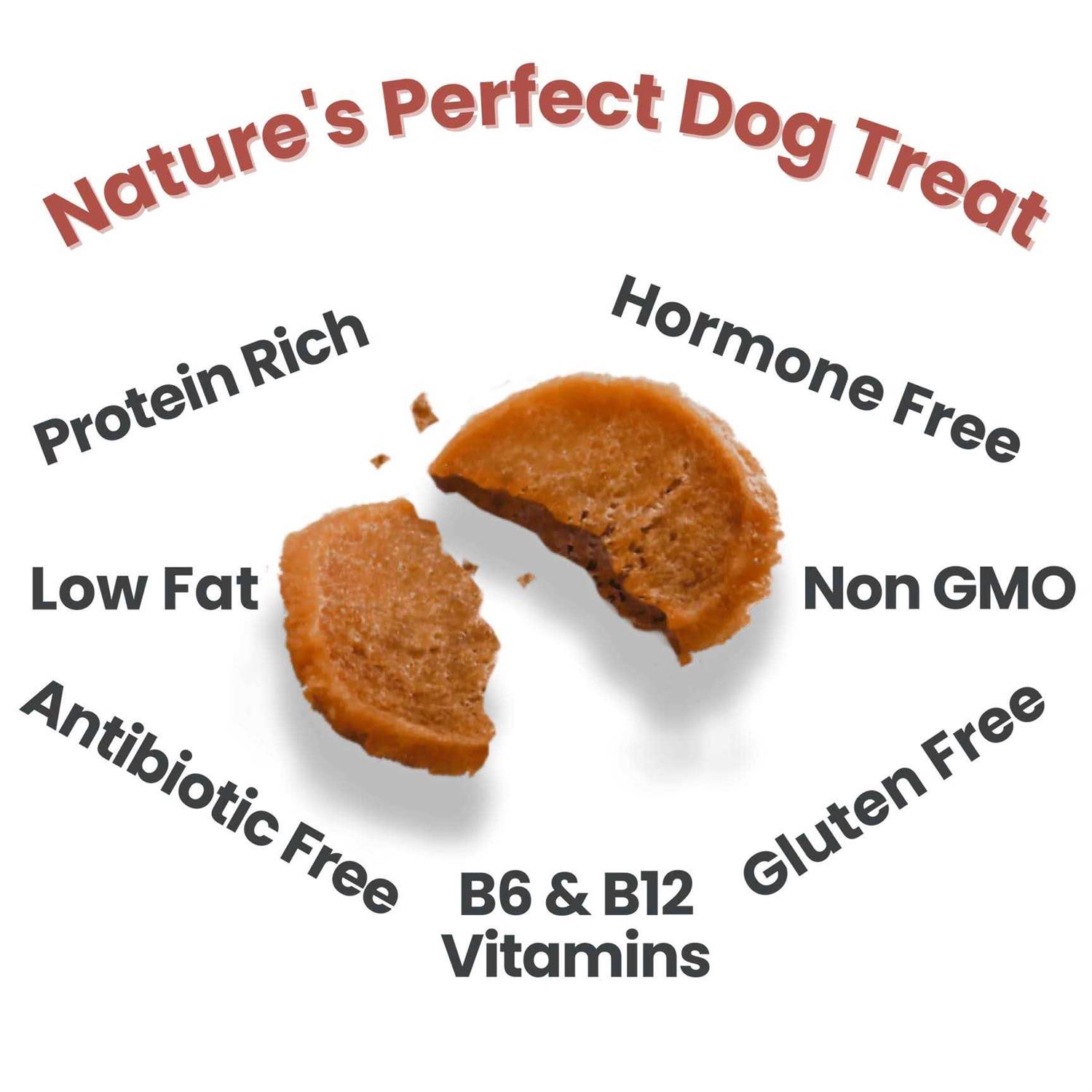 Farm to Pet Chicken Chips Dog Treats - Pet Supplies online store