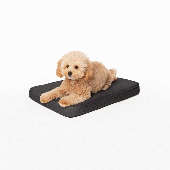 Snooz Memory Foam Crate Pad & Dog Bed Diggs - Pet Supplies online store