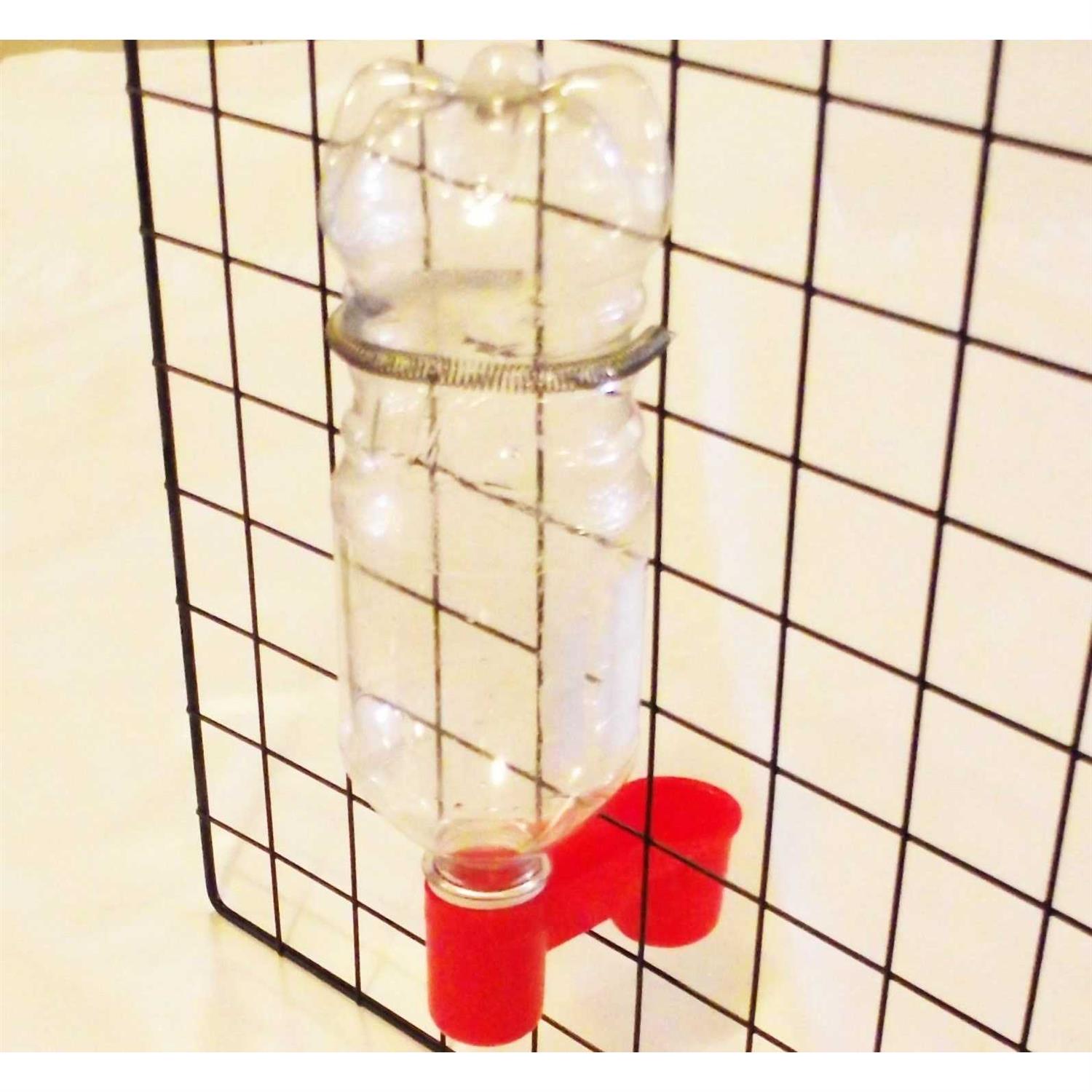 Soda Pop Water Bottle Bird Drinker Cup & Spring - Pet Supplies online store