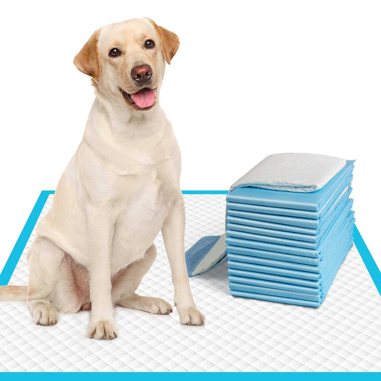 IMMCUTE Extra Large Dog Pee Pads Large Puppy Pee Training Pads Super Absorbent & Leak-Proof - Pet Supplies online store