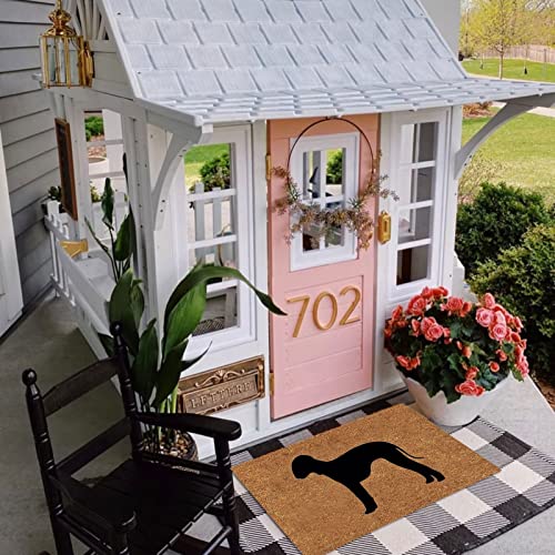 Indoor Floor Mats for Home Entrance, Funny Doormats for Front Door Funny Dog Mat Decorative Door Mat Bathroom Welcome Mat Door Mat Floor Mat Front Door Mats Welcome Matt Indoors 16x24IN