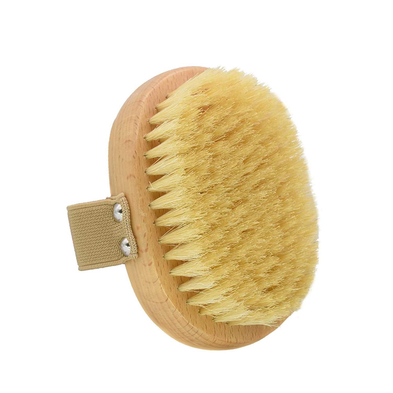 casidoxi soft bristle dog brush for short haired cats dogs with elastic band - Pet Supplies online store