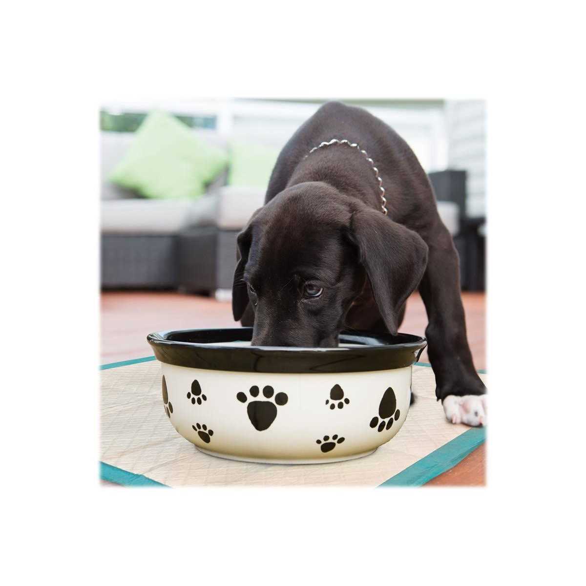 Simple Solution Dog Training Pads - Pet Supplies online store