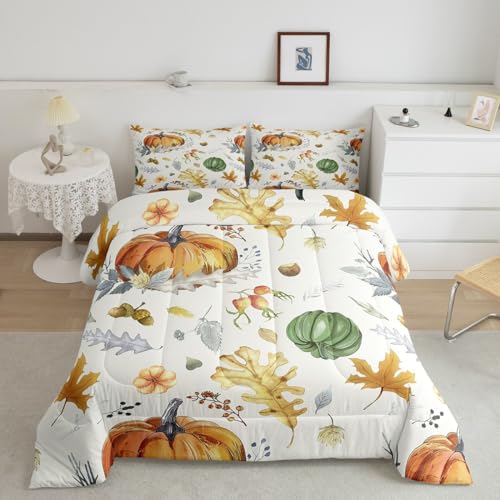 Erosebridal Cartoon Car Bedding Set for Boys, Gold Leaves Autumn Theme Comforter Set Full Size Pumpkin Print Down Comforter Geometric Plaid Checkered Duvet Sets for Kids Teens Adult Bedroom Decor