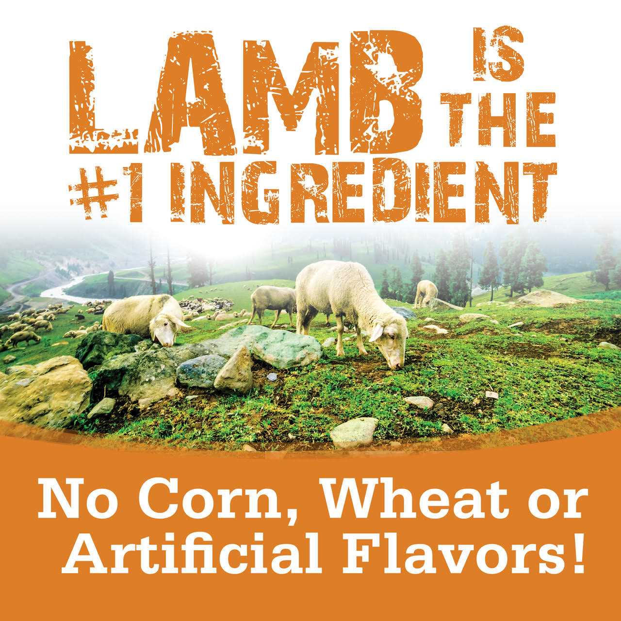 NutriSource Soft & Tender Lamb Dog Treats - Pet Supplies online store