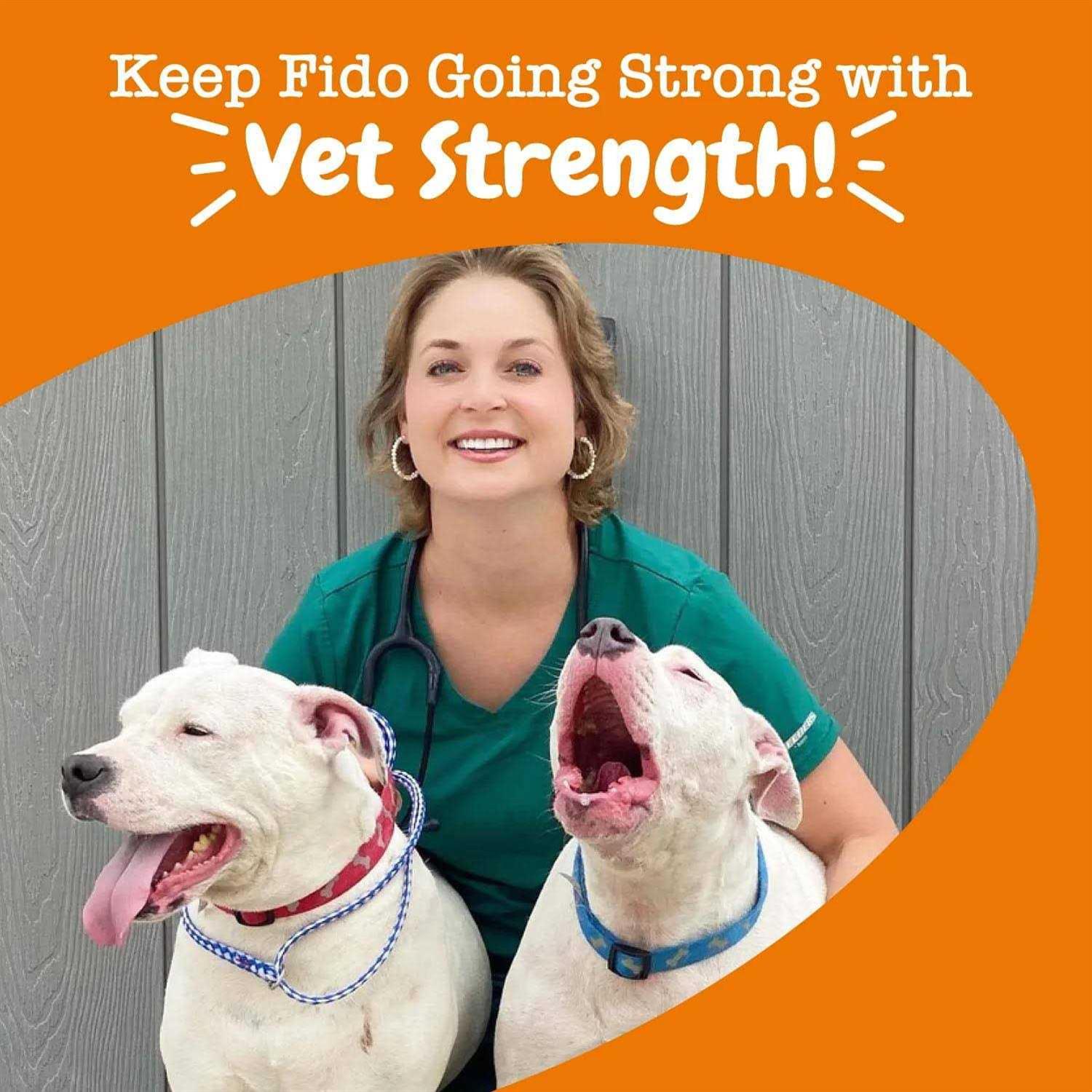 Zesty Paws Vet Strength Pre Post & Probiotic Gut Health Bites for Dogs - Pet Supplies online store