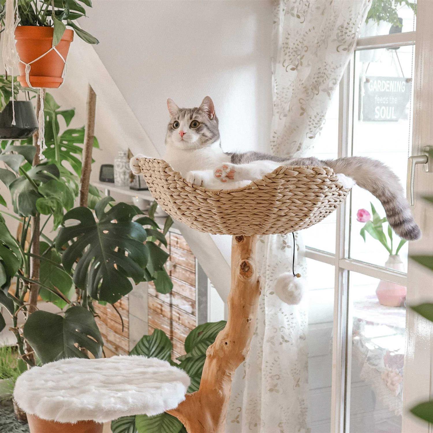 Mau Lifestyle Uni Cat Tree - Pet Supplies online store