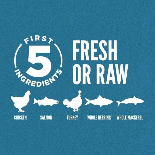 Orijen Guardian 8 Dry Cat Food - Pet Supplies online store