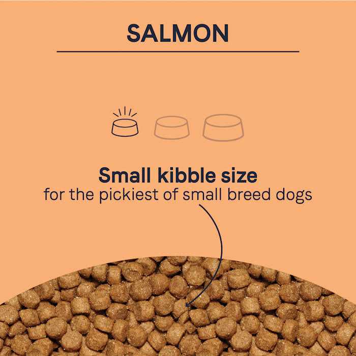 Canidae Pure Petite Small Breed Salmon Dry Dog Food - Pet Supplies online store