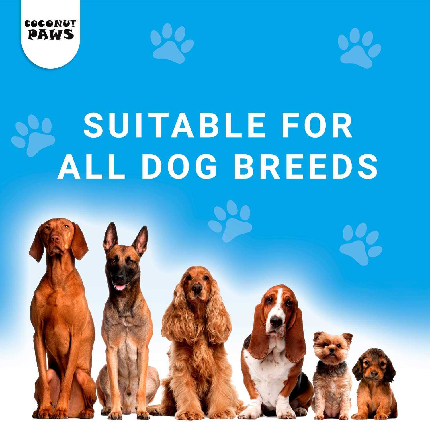 Coconut Paws Coconut Oil for Dogs Skin, Hair, Ears, Teeth, and Nails. Organic Cold Pressed unrefined Coconut Oil, Virgin Olive Oil and Sunflower Oil - Pet Supplies online store