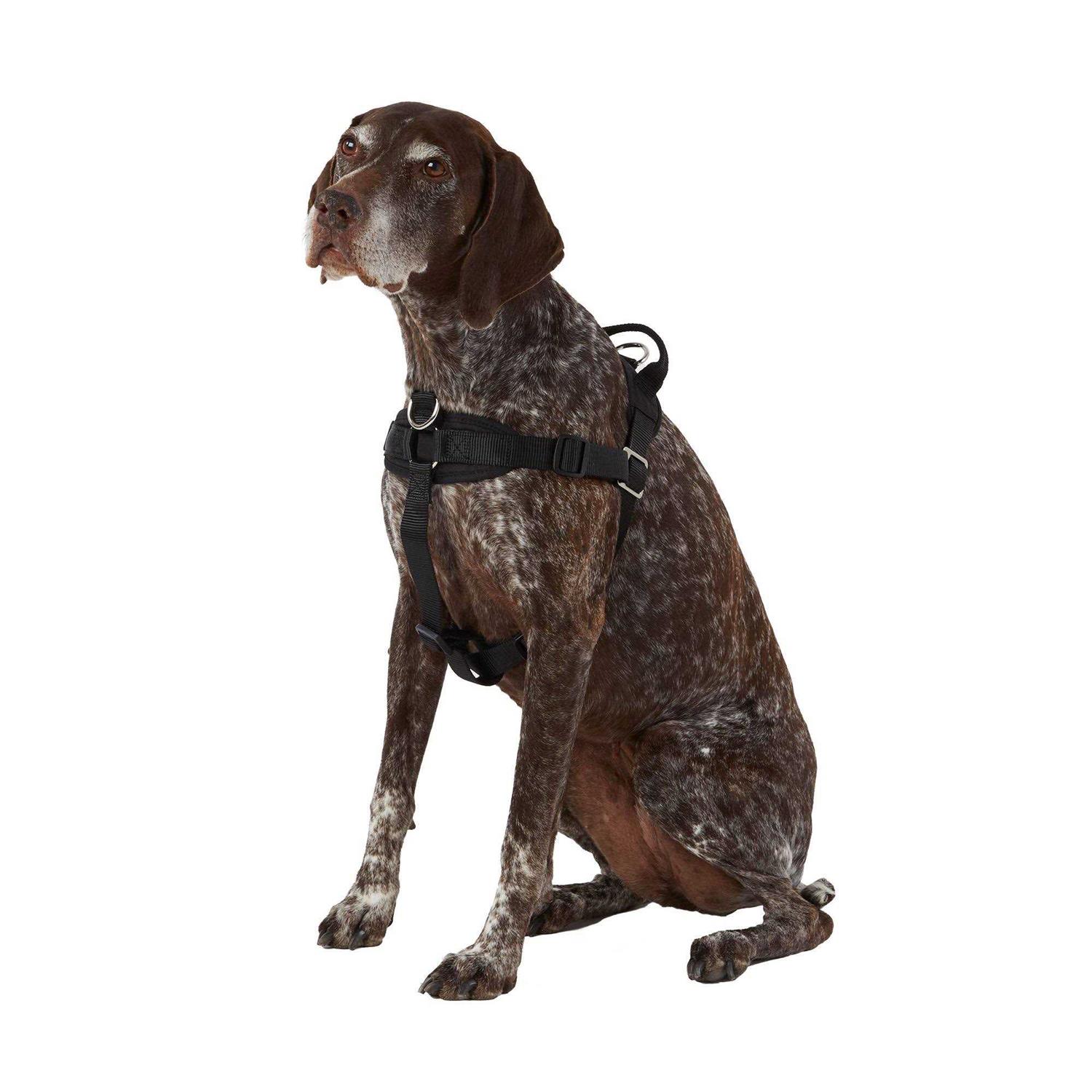 Top Paw No Pull Dog Harness - Pet Supplies online store