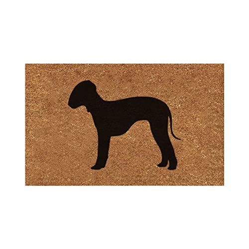 Indoor Floor Mats for Home Entrance, Funny Doormats for Front Door Funny Dog Mat Decorative Door Mat Bathroom Welcome Mat Door Mat Floor Mat Front Door Mats Welcome Matt Indoors 16x24IN