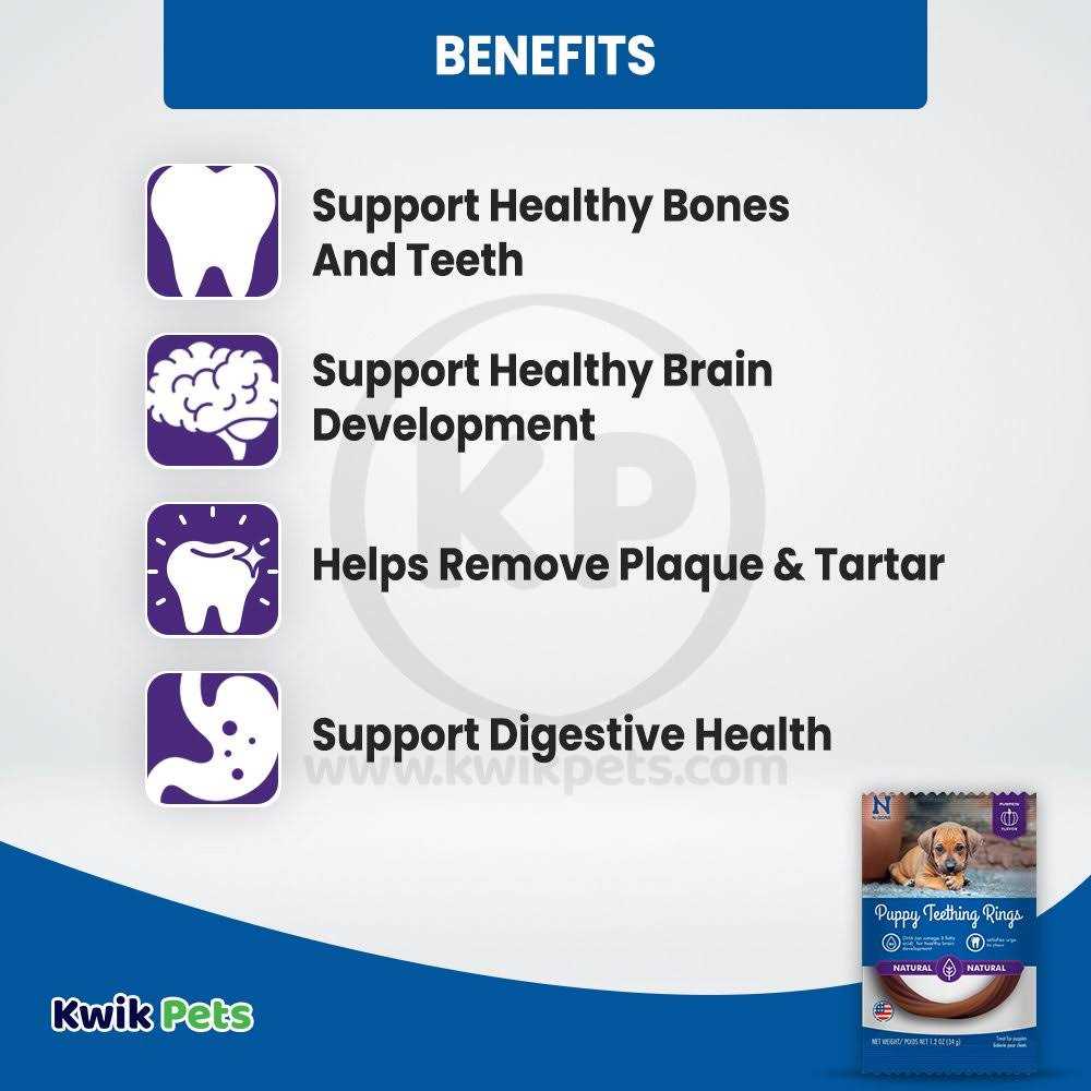 N-Bone Puppy Teething Ring Pumpkin - Pet Supplies online store