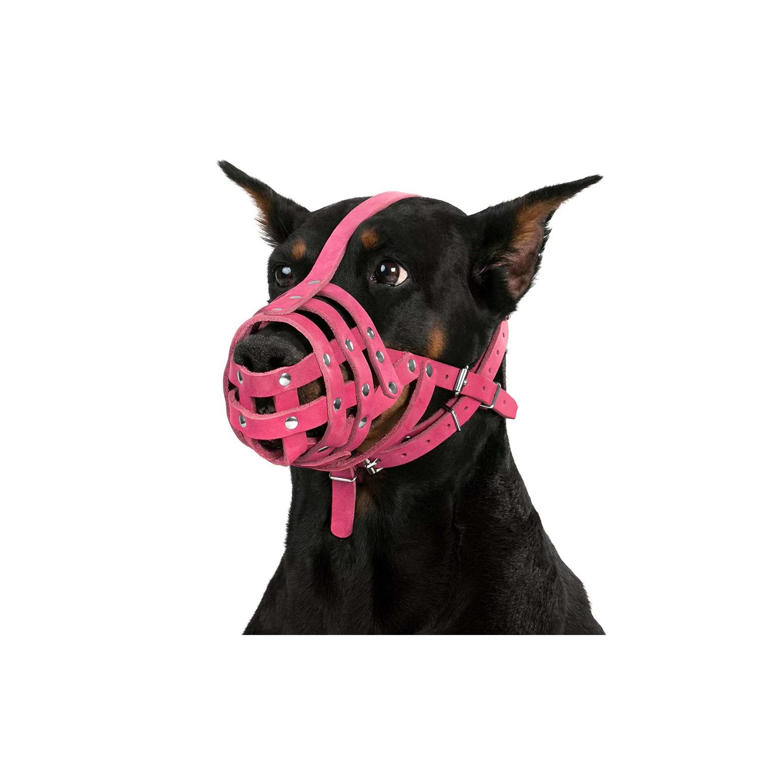 CollarDirect Dog Muzzle German Shepherd Dalmatian Doberman Setter Leather Basket Medium Large Breeds - Pet Supplies online store