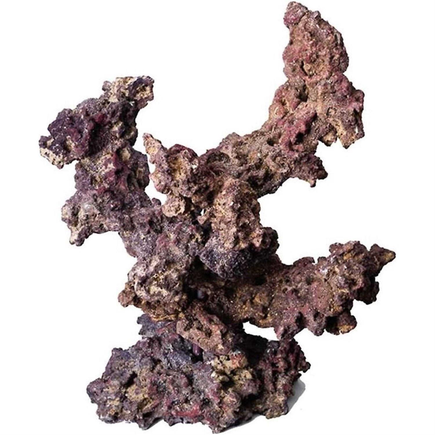 CaribSea LifeRock Reef Tree with Arches - Pet Supplies online store