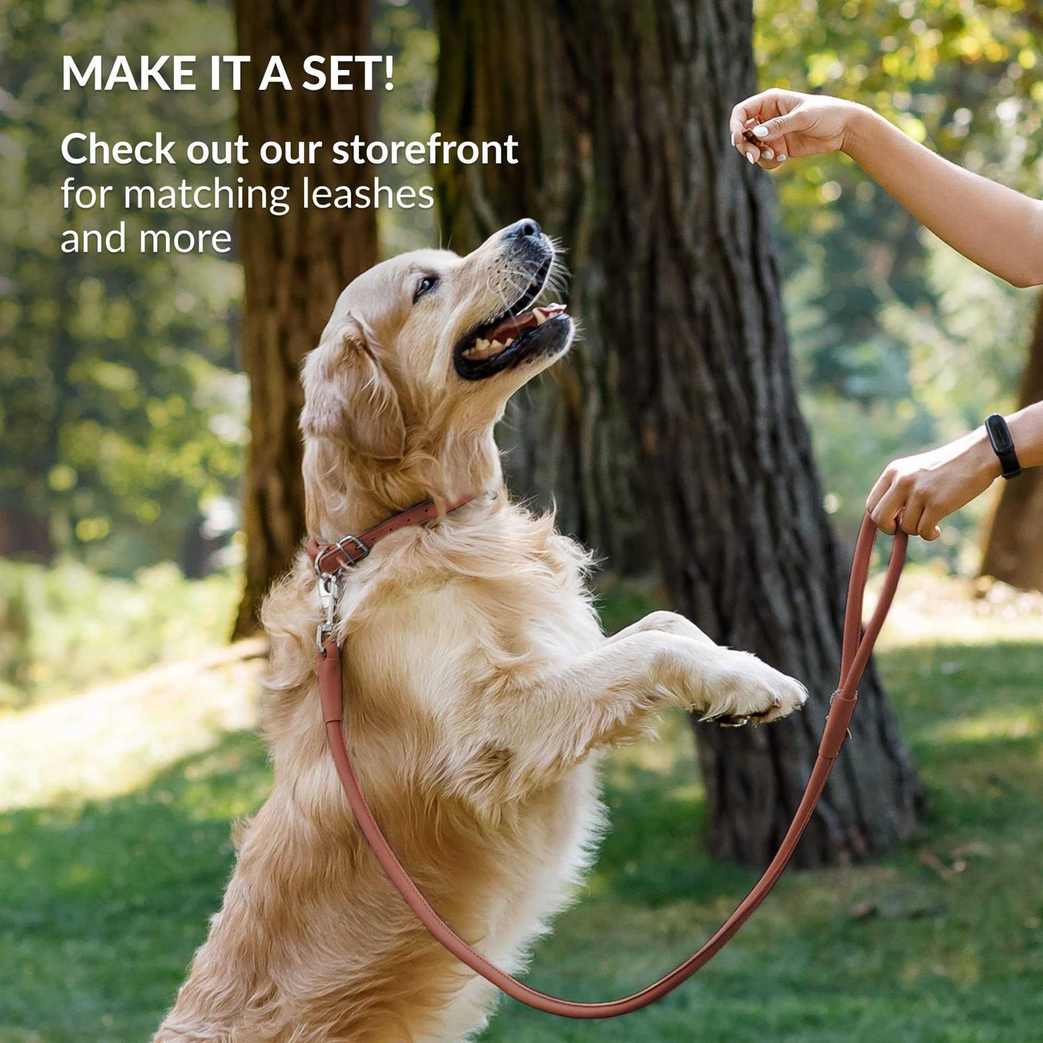 CollarDirect Rolled Leather Dog Collar Soft Padded Round Puppy Collar - Pet Supplies online store