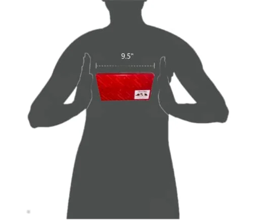 Fannie May Assorted Creams Premium Gourmet Creamy confections Chocolate with our Red Classic Traditional Gift wrapped Box