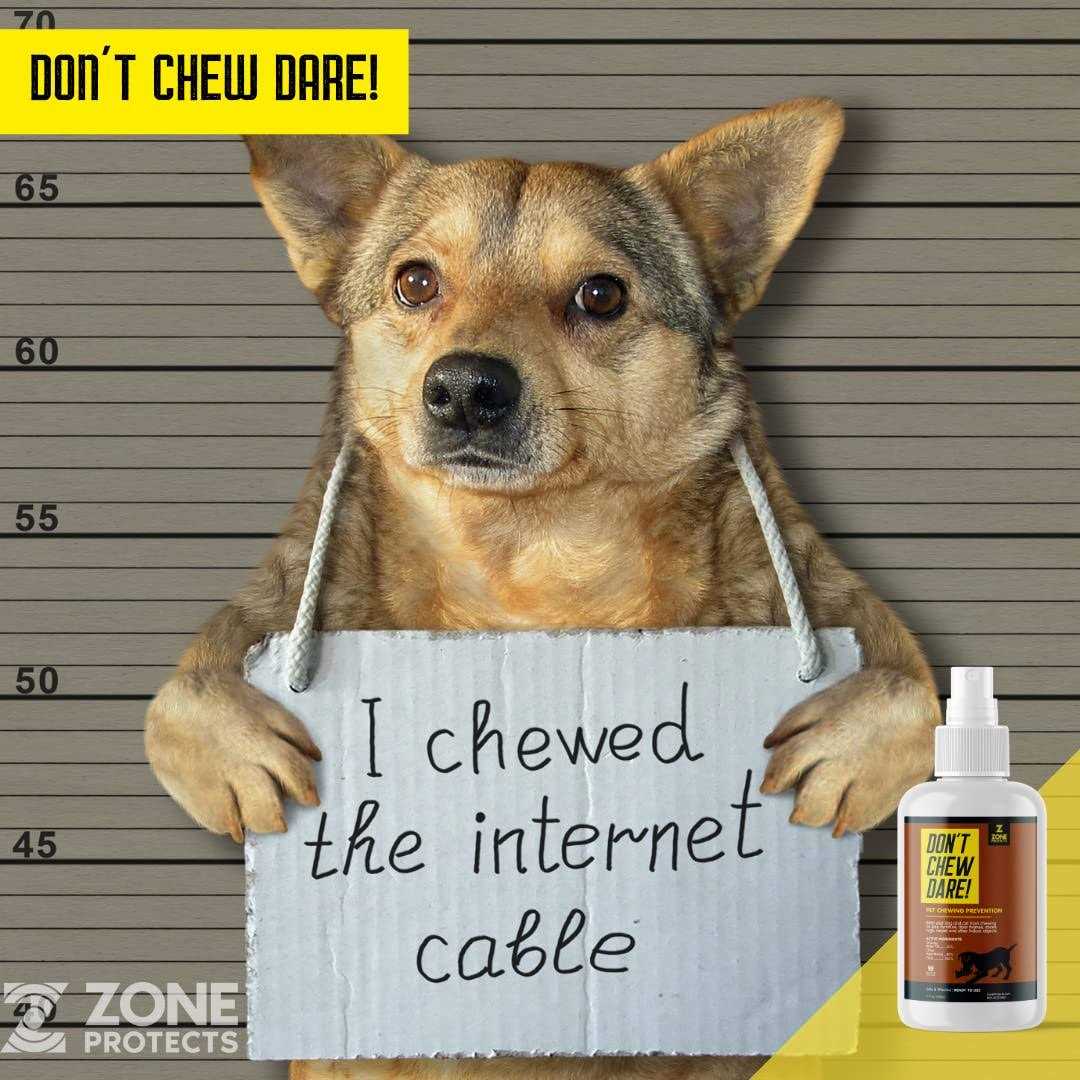 Zone Protects Don't Chew Dare! Indoor Dog Chewing Prevention Spray - Pet Supplies online store