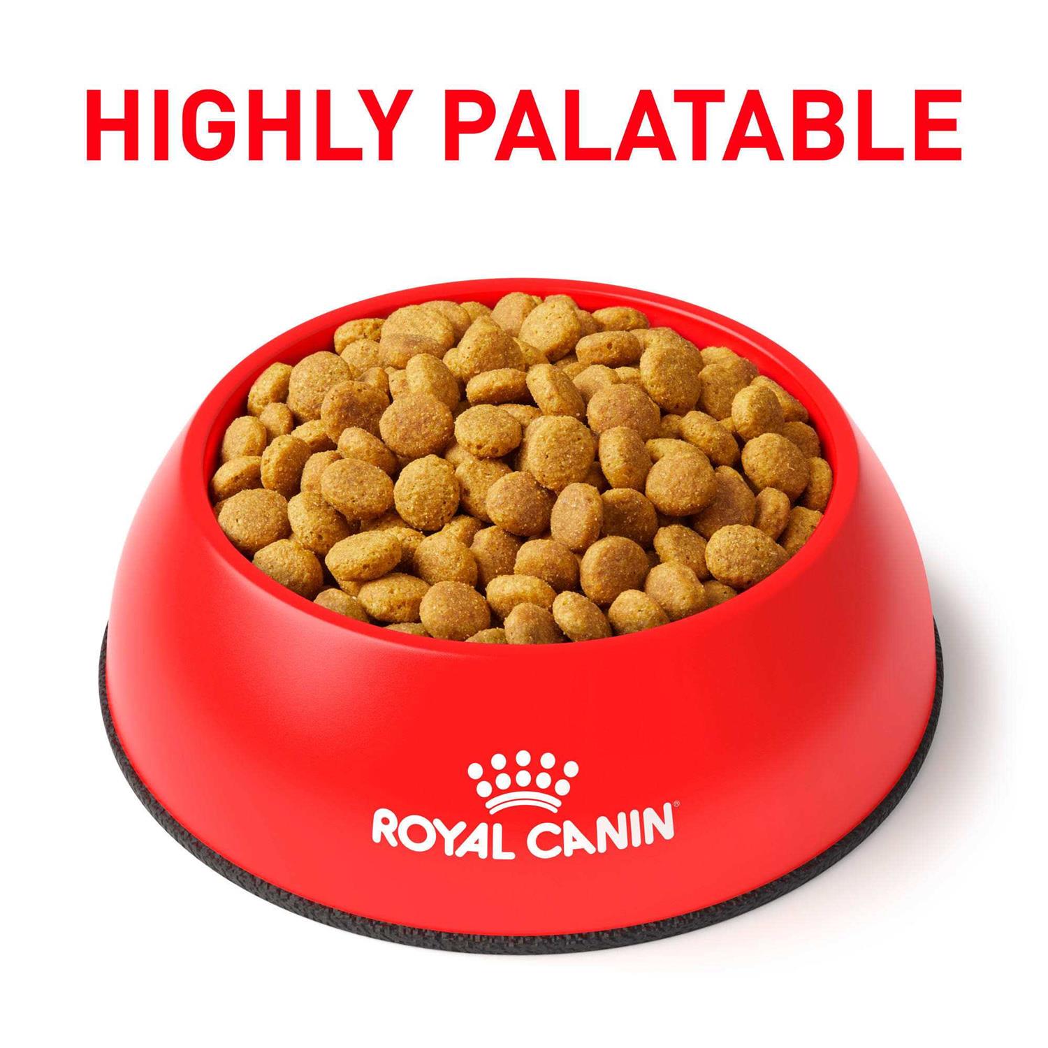 Royal Canin Veterinary Diet Cat Food - Pet Supplies online store