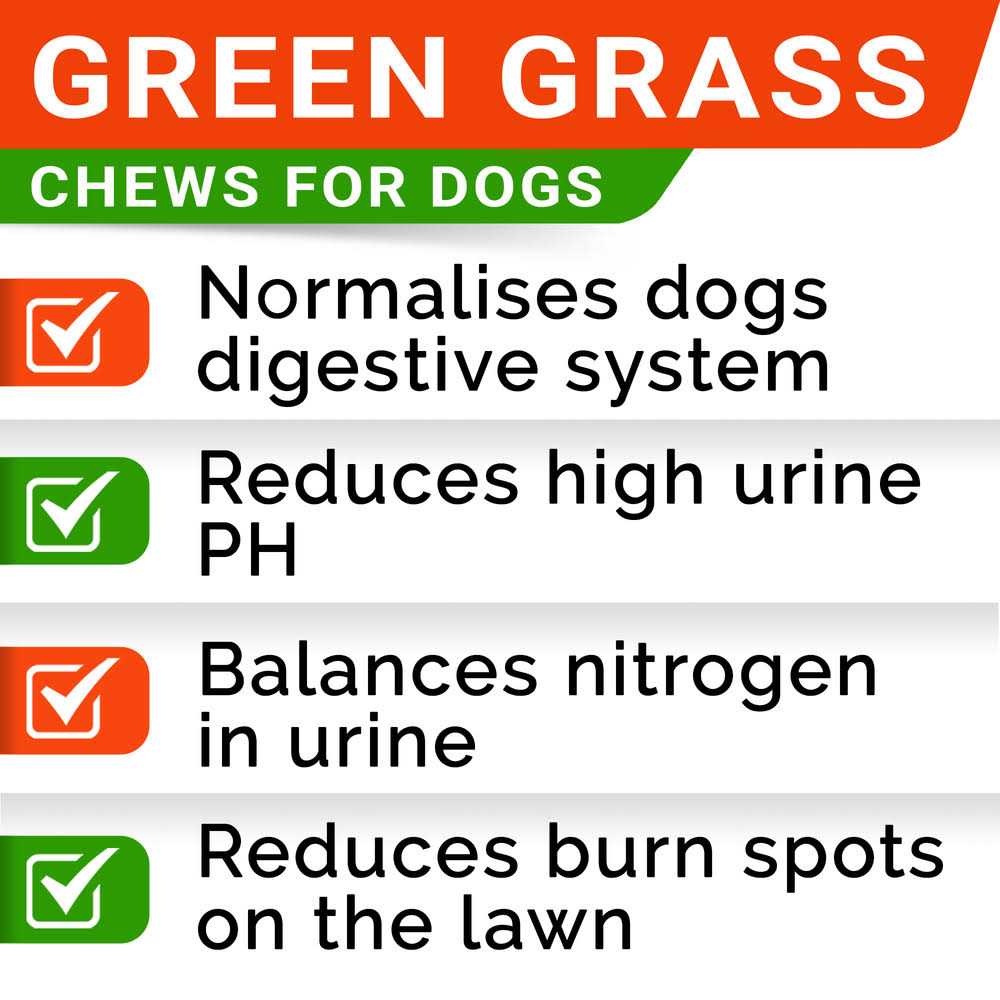 StrellaLab Grass Burn Spot Chews for Dogs - Pet Supplies online store