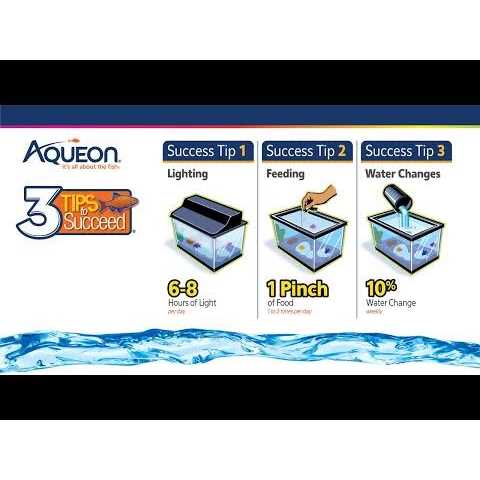 Aqueon Frameless Cube Aquarium - Pet Supplies online store