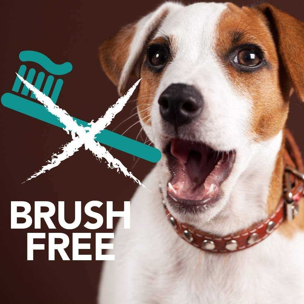 Tevrapet Brush-Free Oral Gel for Pets - Pet Supplies online store
