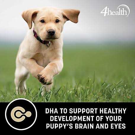 4health Grain Free Puppy Dog Food - Pet Supplies online store
