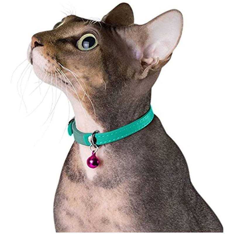 CollarDirect Leather Cat Collar with Bell Kitten Collar, Small and Big Cat Collar for Boy Cats - Pet Supplies online store