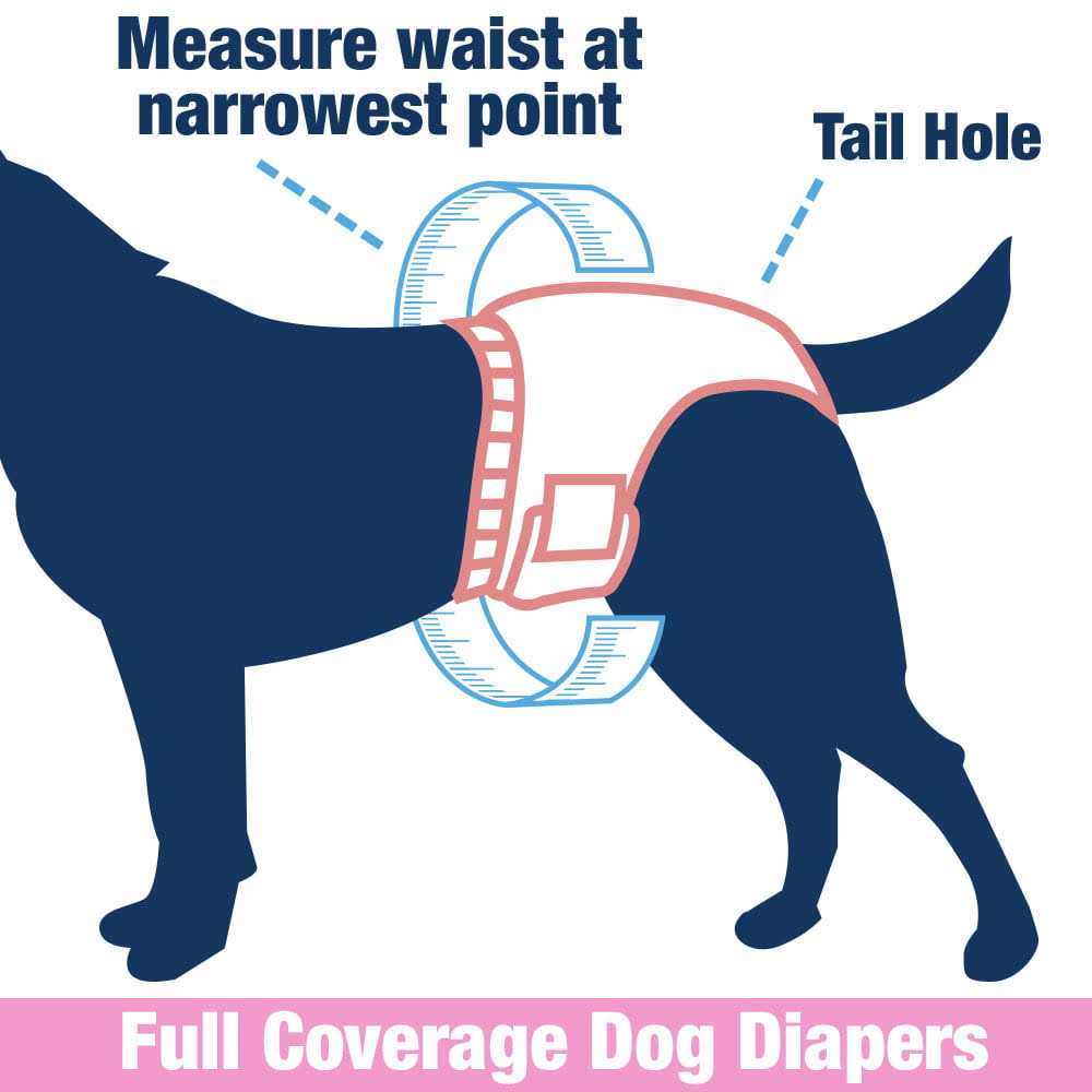 ValueFresh Female Dog Disposable Diapers - Pet Supplies online store