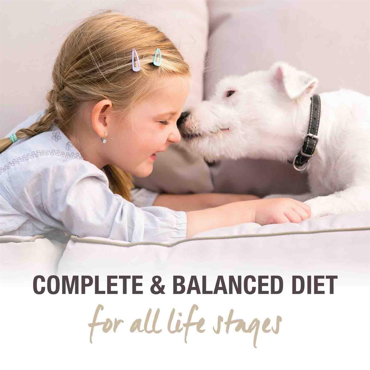 K9 Natural Beef Feast Freeze-Dried Dog Food - Pet Supplies online store