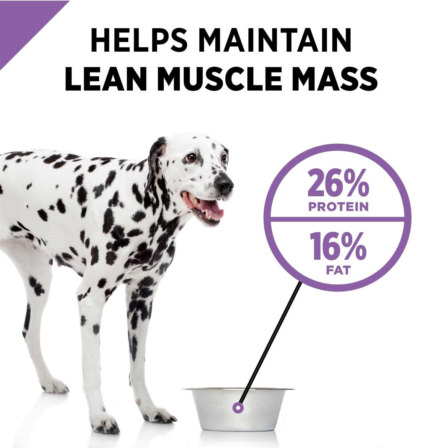 Purina Pro Plan Dry Dog Food Sport Active 26/16 Formula - Pet Supplies online store