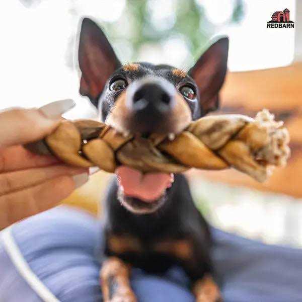 Redbarn Puffed Collagen Braid - Pet Supplies online store
