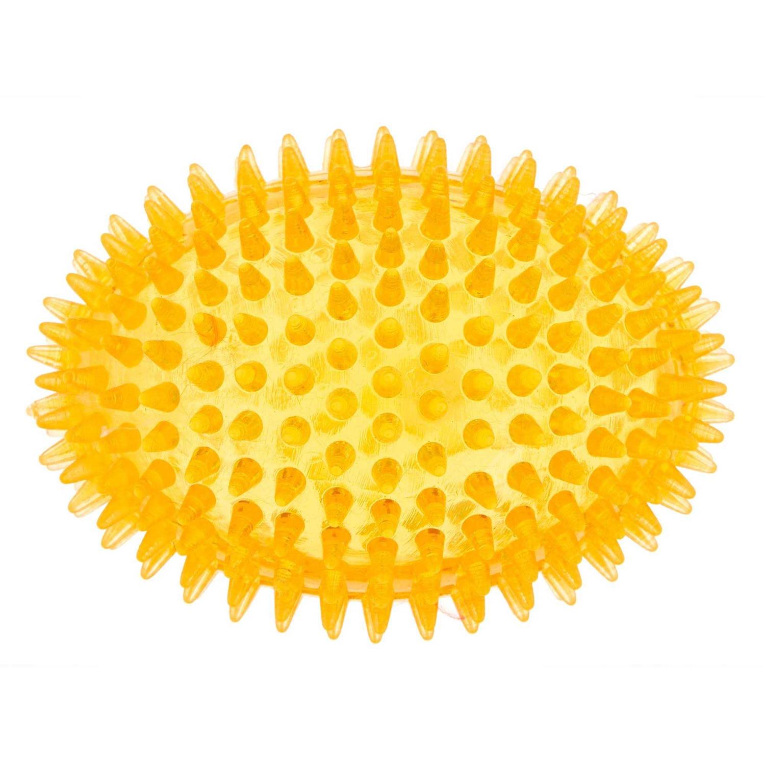 Top Paw Spiky Football Squeaker Dog Toy - Pet Supplies online store