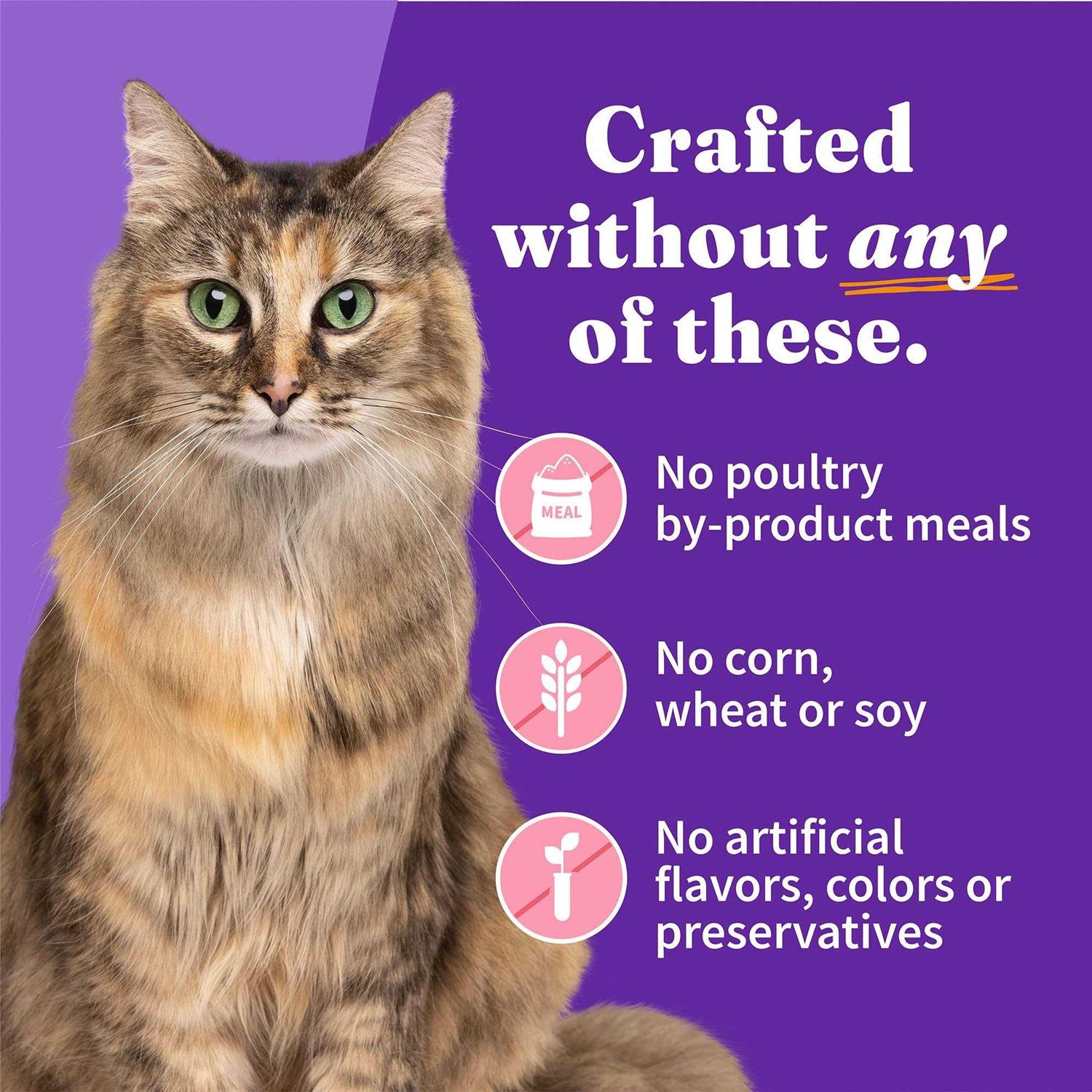 Halo Grain Free Salmon Stew Adult Cat Food - Pet Supplies online store