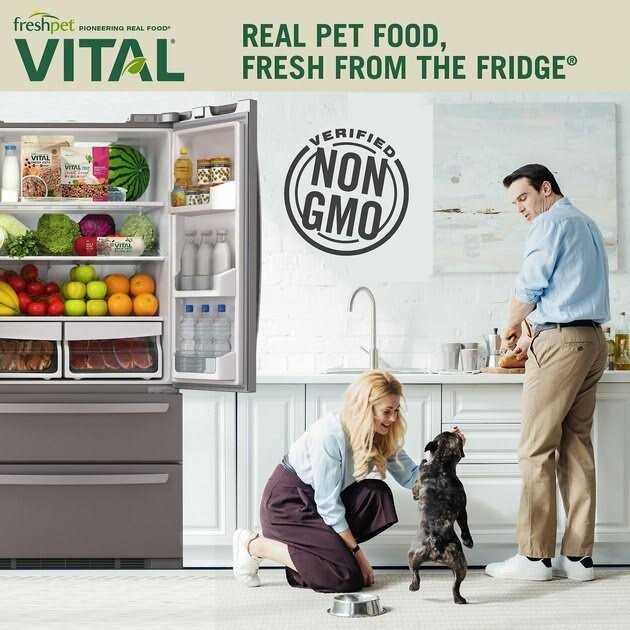 Freshpet Vital Complete Meals Grain-Free Chicken Fresh Small Breed Dog Food - Pet Supplies online store