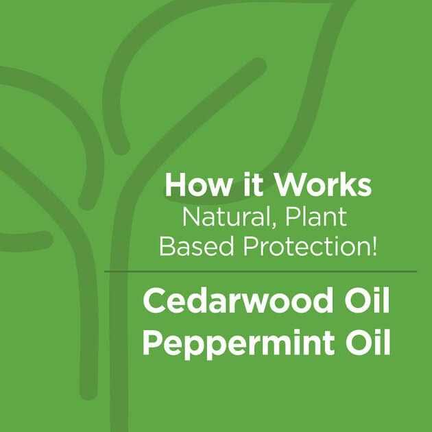 TevraPet Naturals Flea & Tick Topicals for Dogs 16 - Pet Supplies online store