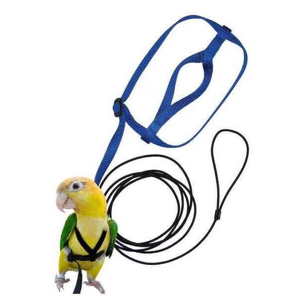The Aviator Bird Harness and Leash - Pet Supplies online store