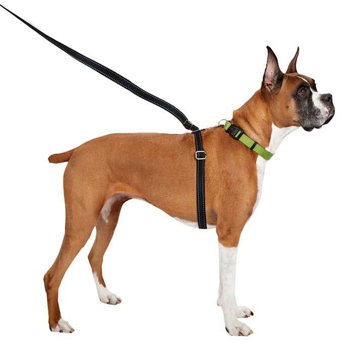 ThunderLeash Retractable Dog Leash - Pet Supplies online store