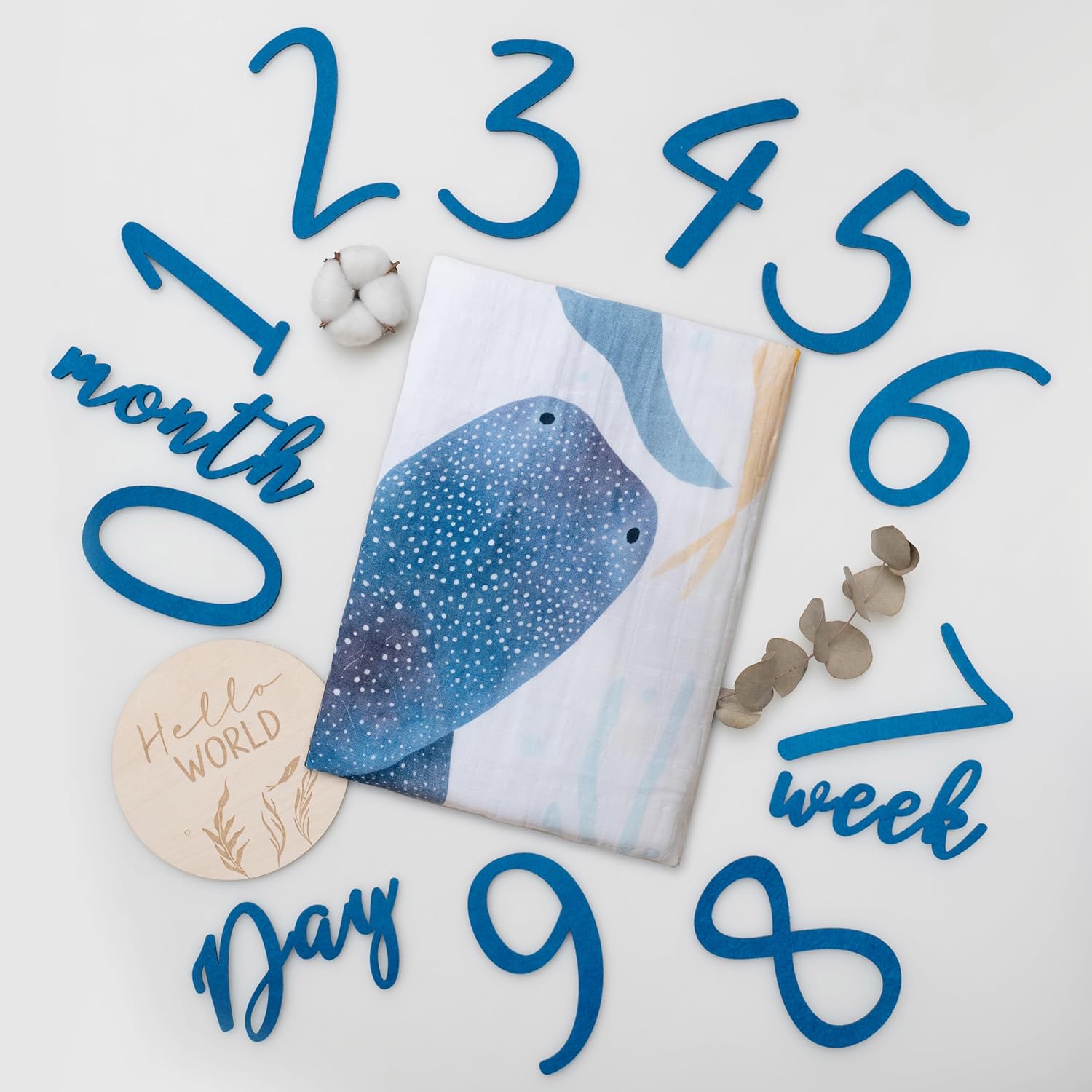 Miaoberry Ocean Theme Baby Monthly Milestone Blanket, Gender Neutral, 12 Month Photo Props for Boys and Girls, Baby Photo Background, Newborn Photography Props