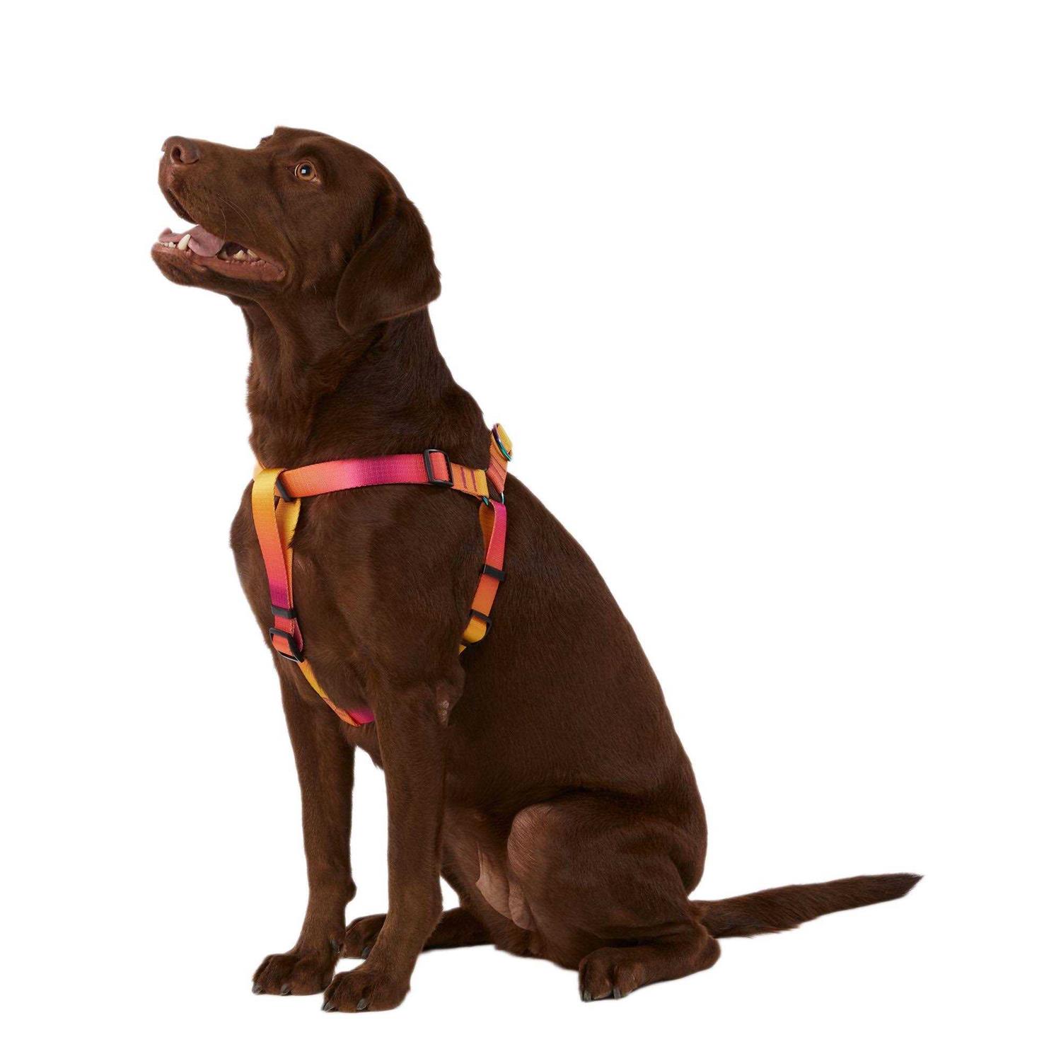 Top Paw Dog Top Pawyellow & Pink Ombre Dog Harness - Pet Supplies online store